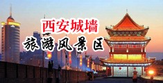 免费在线观看男的爆肏女逼中国陕西-西安城墙旅游风景区